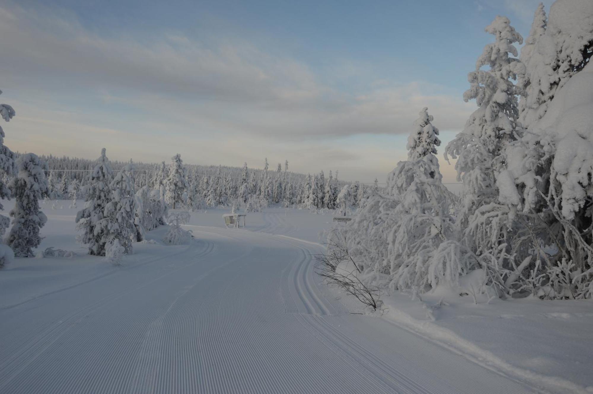 16 - Fulufjellets Nasjonalparker - Natur-, Dyre- Og Fugleopplevelser Ljørdal المظهر الخارجي الصورة