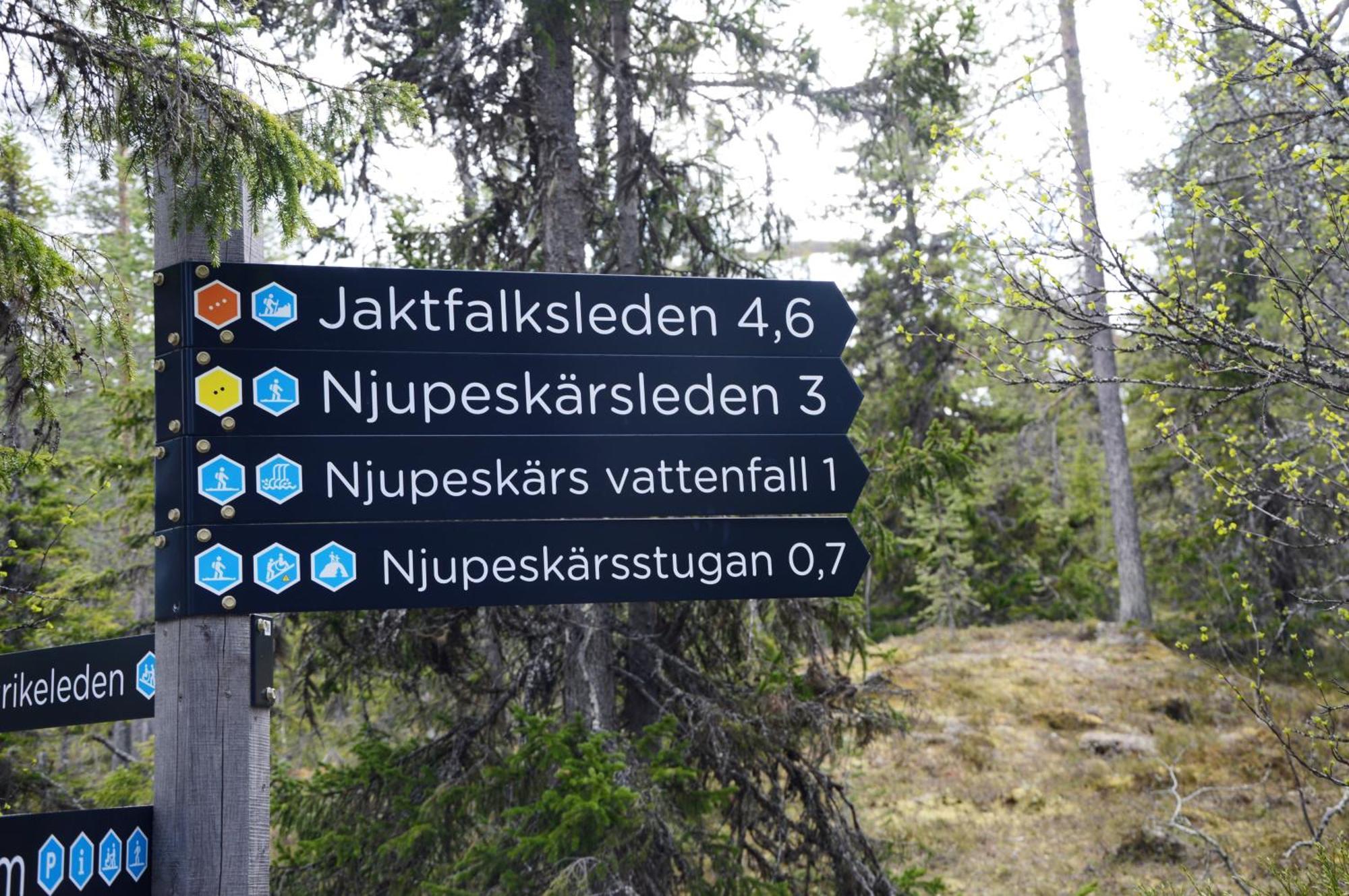 16 - Fulufjellets Nasjonalparker - Natur-, Dyre- Og Fugleopplevelser Ljørdal المظهر الخارجي الصورة
