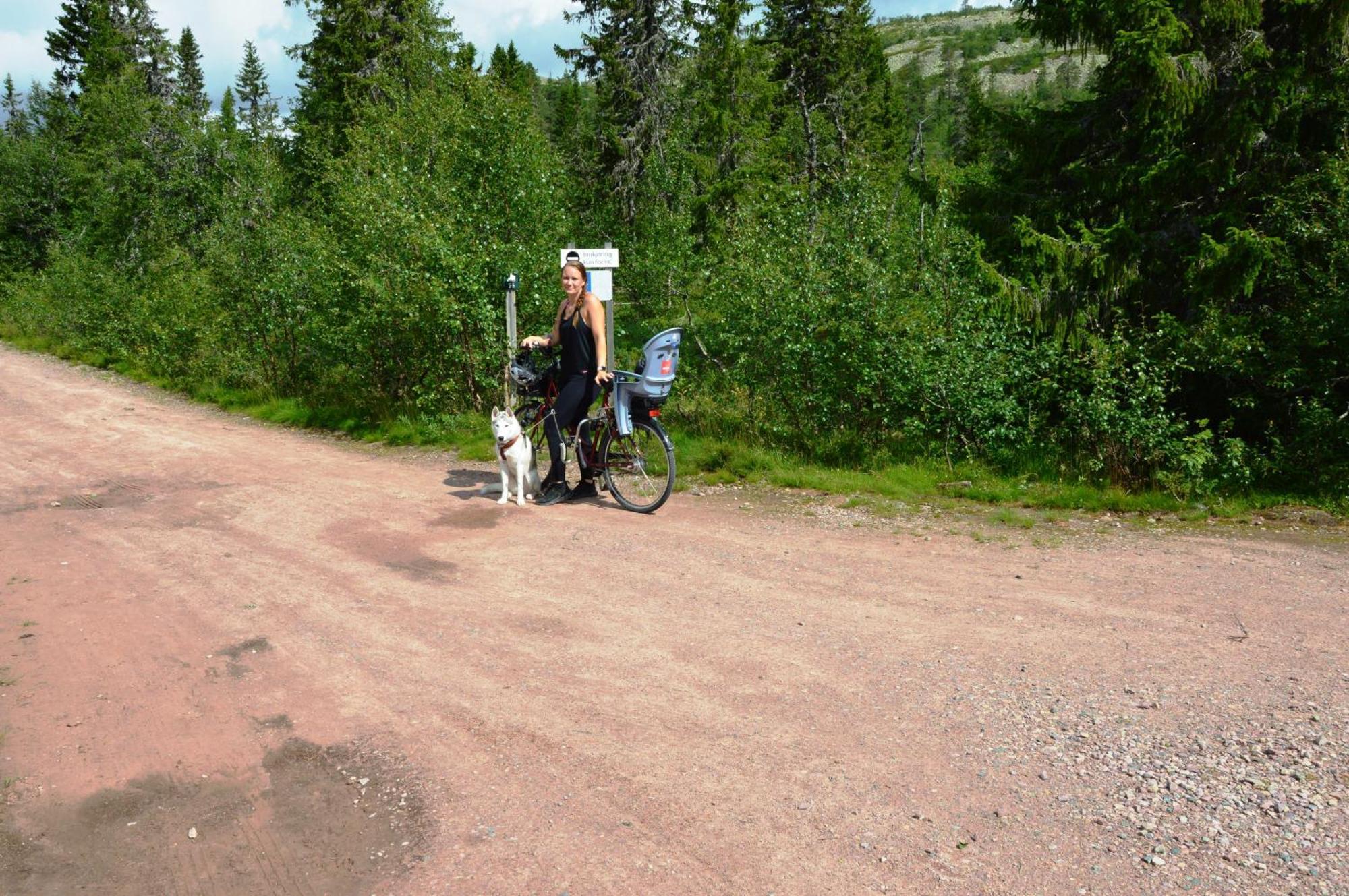 16 - Fulufjellets Nasjonalparker - Natur-, Dyre- Og Fugleopplevelser Ljørdal المظهر الخارجي الصورة