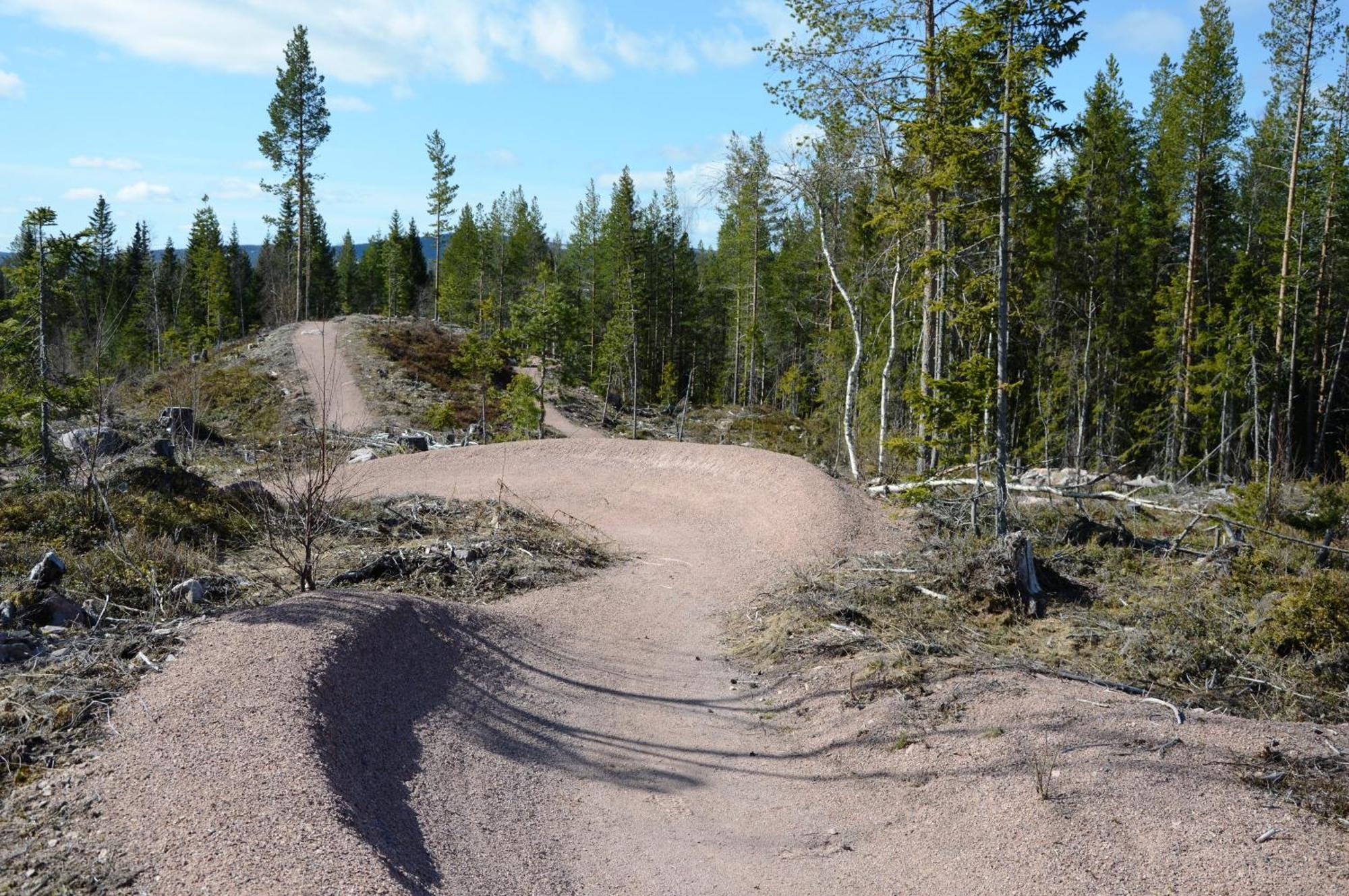 16 - Fulufjellets Nasjonalparker - Natur-, Dyre- Og Fugleopplevelser Ljørdal المظهر الخارجي الصورة
