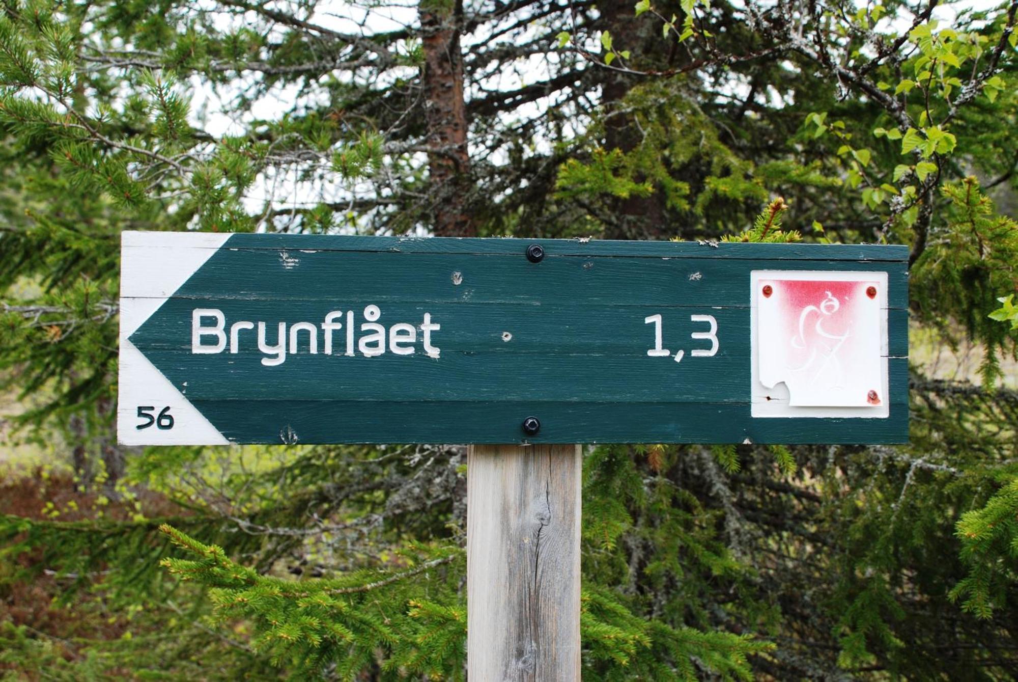 16 - Fulufjellets Nasjonalparker - Natur-, Dyre- Og Fugleopplevelser Ljørdal المظهر الخارجي الصورة
