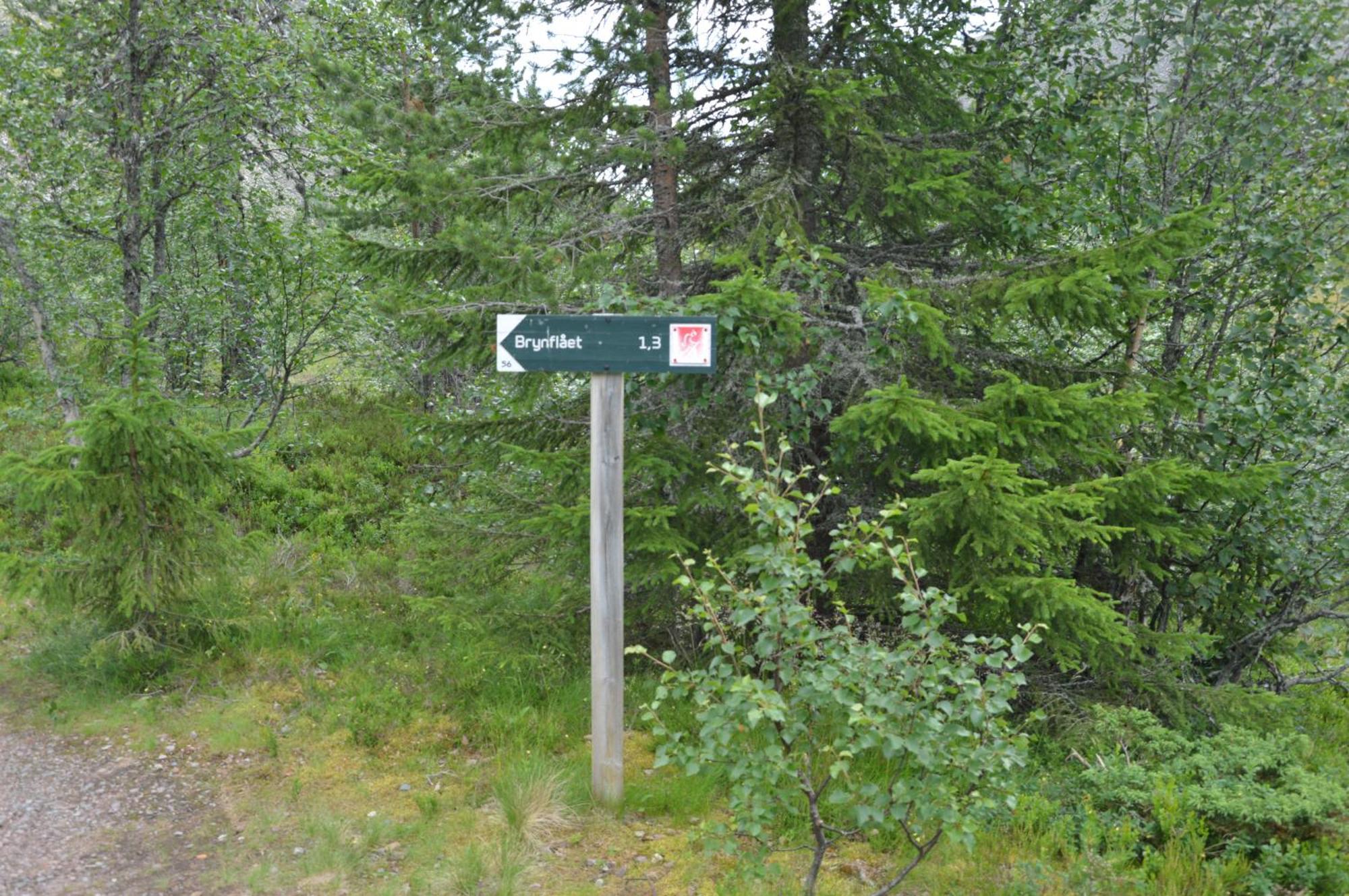 16 - Fulufjellets Nasjonalparker - Natur-, Dyre- Og Fugleopplevelser Ljørdal المظهر الخارجي الصورة