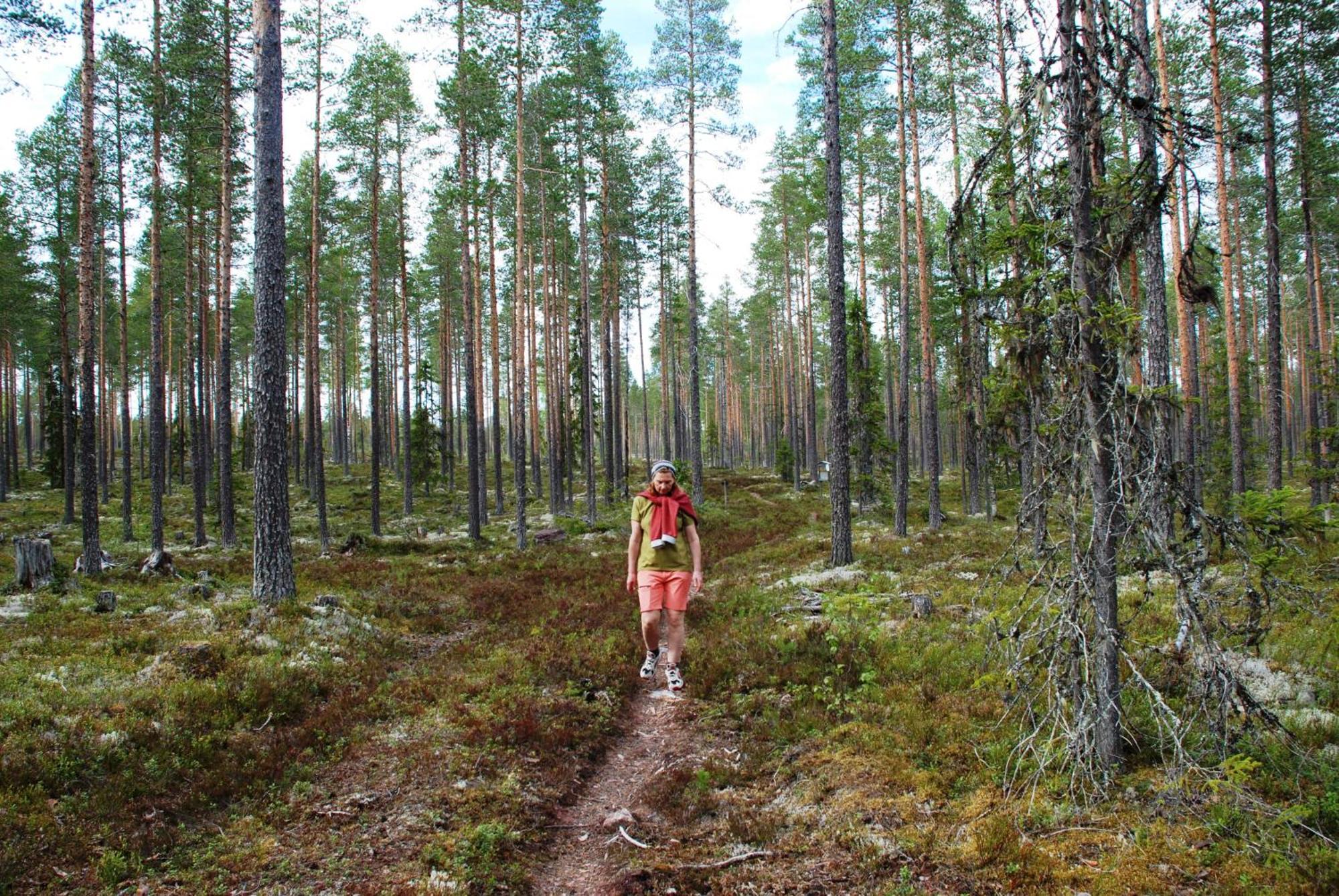 16 - Fulufjellets Nasjonalparker - Natur-, Dyre- Og Fugleopplevelser Ljørdal المظهر الخارجي الصورة