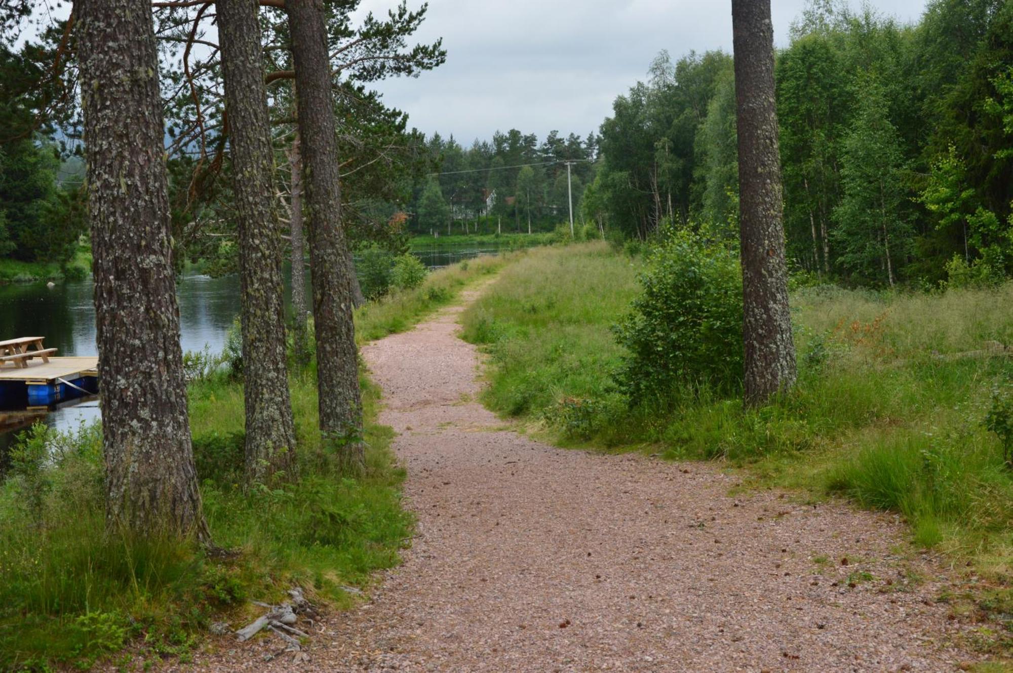 16 - Fulufjellets Nasjonalparker - Natur-, Dyre- Og Fugleopplevelser Ljørdal المظهر الخارجي الصورة