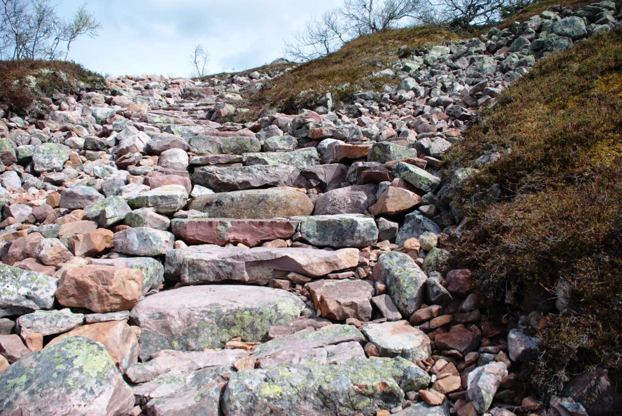 16 - Fulufjellets Nasjonalparker - Natur-, Dyre- Og Fugleopplevelser Ljørdal المظهر الخارجي الصورة
