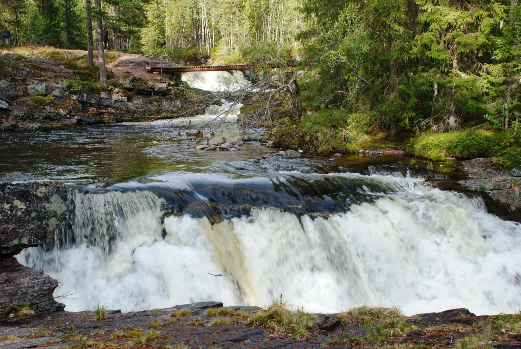 16 - Fulufjellets Nasjonalparker - Natur-, Dyre- Og Fugleopplevelser Ljørdal المظهر الخارجي الصورة