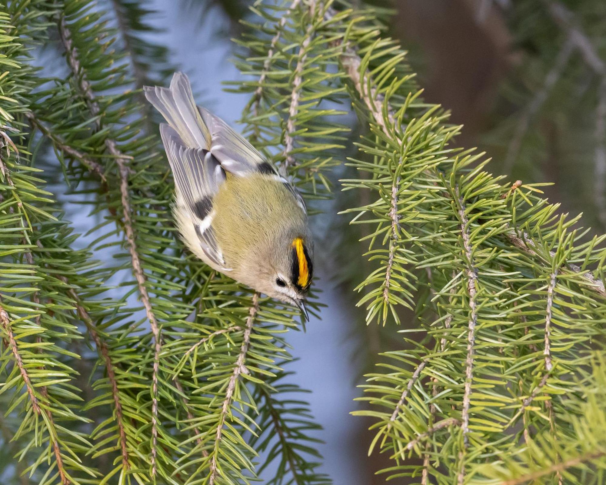 16 - Fulufjellets Nasjonalparker - Natur-, Dyre- Og Fugleopplevelser Ljørdal المظهر الخارجي الصورة